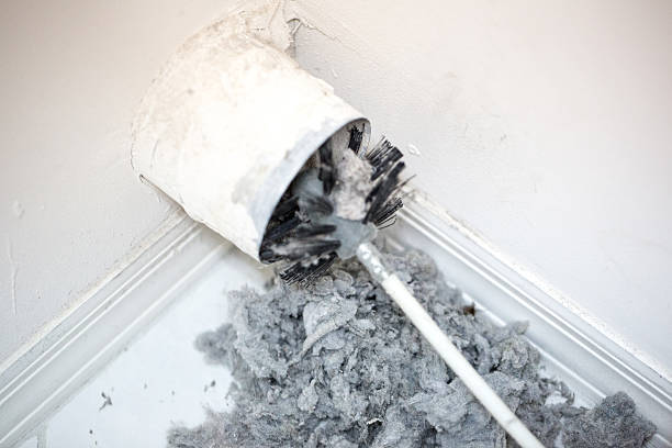 Best HVAC Duct Inspection Services  in Somerville, TX